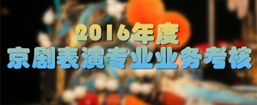 裸体动漫美少女乳房404国家京剧院2016年度京剧表演专业业务考...